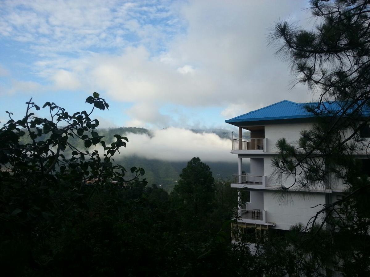 Terrace Retreat Bed and Breakfast Kasauli Eksteriør billede