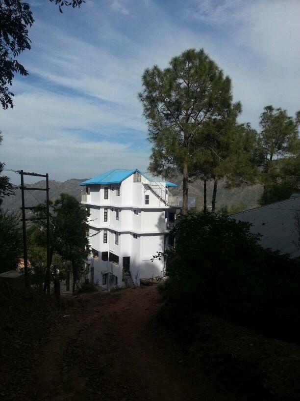 Terrace Retreat Bed and Breakfast Kasauli Eksteriør billede