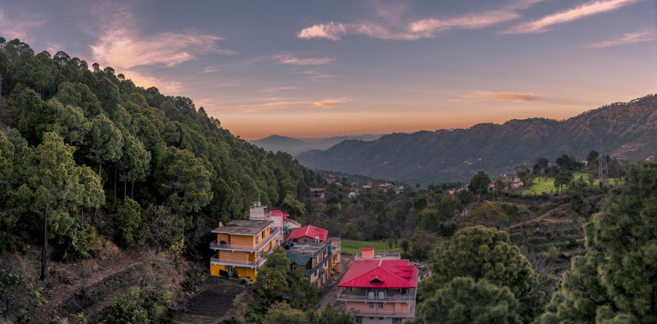 Terrace Retreat Bed and Breakfast Kasauli Eksteriør billede